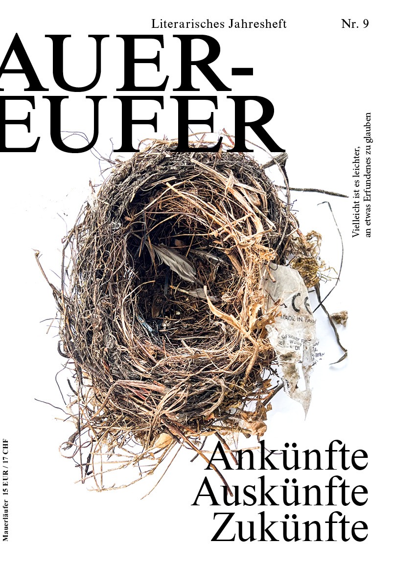 Read more about the article Mauerläufer 9